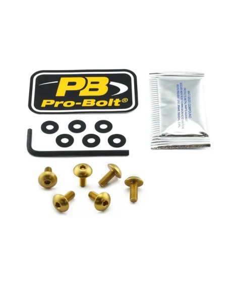 PRO BOLT Montagematerial & Zubehör für BMW R 1250 GS ABS 2019-2024
