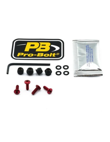 PRO BOLT Montagematerial & Zubehör für APRILIA RS4 125 2011-2016