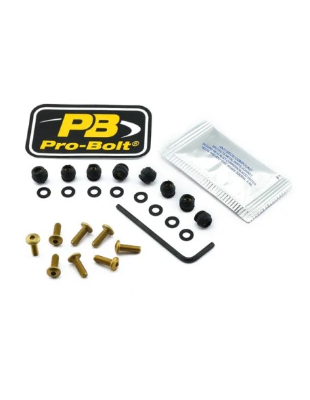 PRO BOLT Montagematerial & Zubehör für MV AGUSTA F4 1000 RC ABS 2015-2019