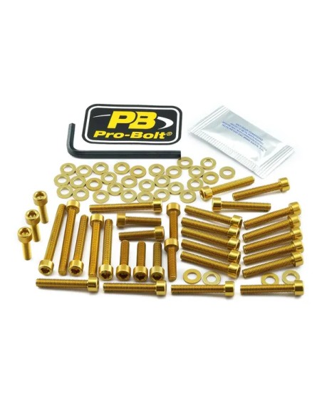 PRO BOLT Montagematerial & Zubehör für BMW S 1000 RR ABS 2010-2014