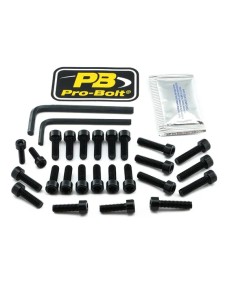 Aluminium Motorschrauben-Kit für BMW