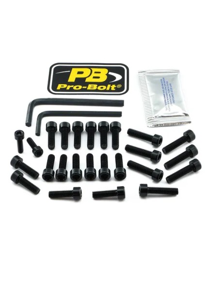 PRO BOLT Montagematerial & Zubehör für BMW R 1250 GS ABS 2019-2024