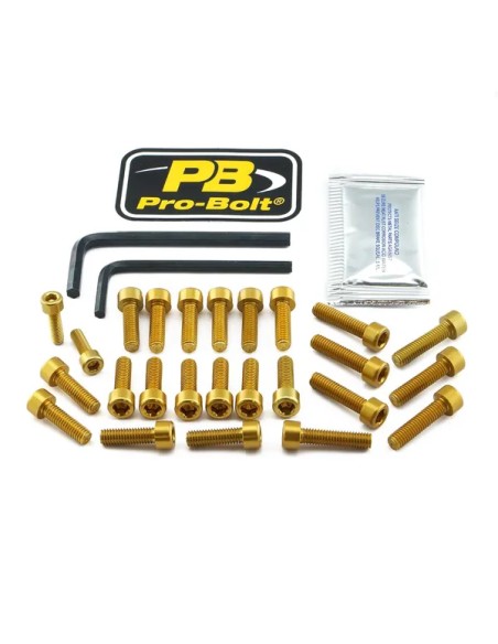 PRO BOLT Montagematerial & Zubehör für BMW R 1250 GS ABS 2019-2024