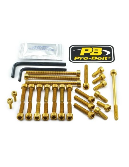 PRO BOLT Montagematerial & Zubehör für DUCATI MONSTER 696 2008-2014