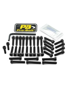Aluminium Motorschrauben-Kit für Honda
