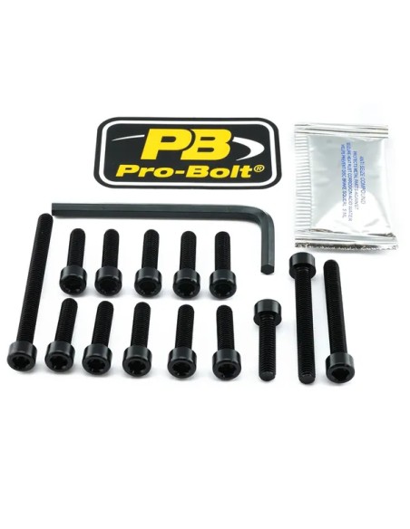 PRO BOLT Montagematerial & Zubehör für KAWASAKI ZZR 1400 ABS 2012-2020