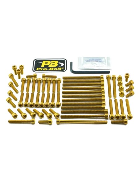 PRO BOLT Montagematerial & Zubehör für KTM SUPER DUKE 1290 R ABS 2017-2020