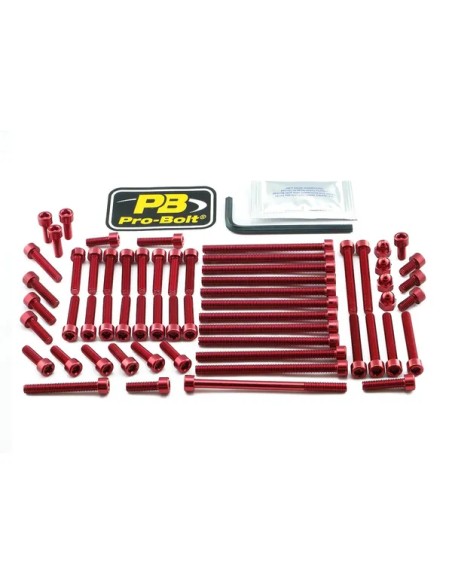 PRO BOLT Montagematerial & Zubehör für KTM SUPER DUKE 1290 R ABS 2017-2020
