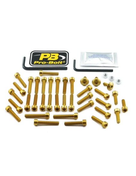 PRO BOLT Montagematerial & Zubehör für SUZUKI GSX 1300 BK ABS 2008-2011