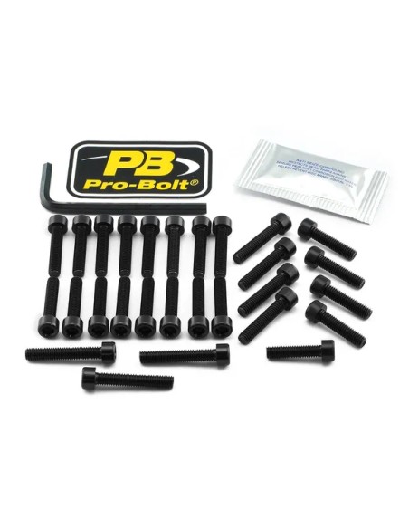 PRO BOLT Montagematerial & Zubehör für SUZUKI GSX 1400 2001-2007