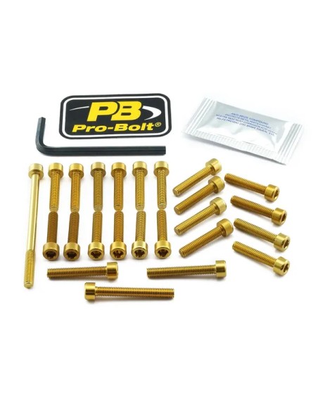 PRO BOLT Montagematerial & Zubehör für SUZUKI GSX-R 1000 R ABS 2017-2025