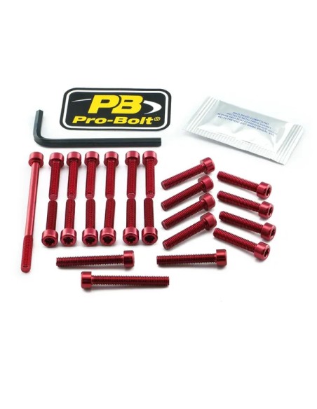 PRO BOLT Montagematerial & Zubehör für SUZUKI GSX-R 1000 R ABS 2017-2025