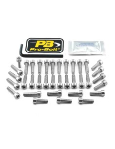 Aluminium Motorschrauben-Satz für Triumph