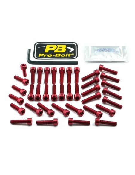 PRO BOLT Montagematerial & Zubehör für TRIUMPH STREET TRIPLE 765 R ABS 2017-2023
