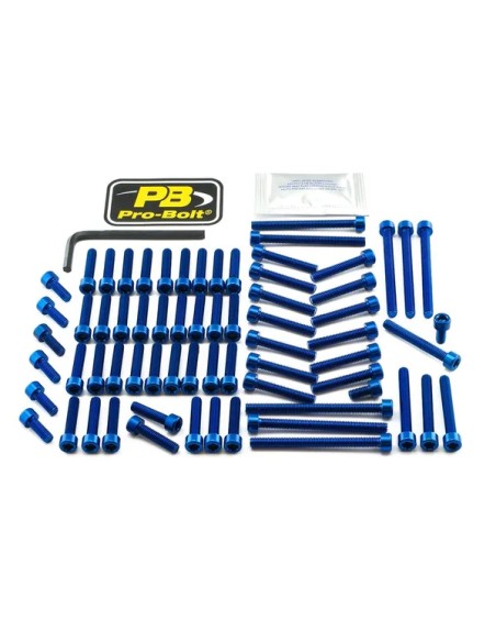 PRO BOLT Montagematerial & Zubehör für YAMAHA MT-01 1700 2005-2009