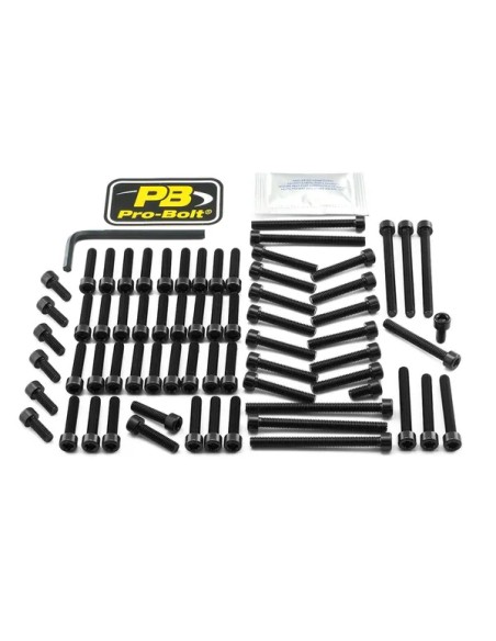 PRO BOLT Montagematerial & Zubehör für YAMAHA MT-01 1700 2005-2009
