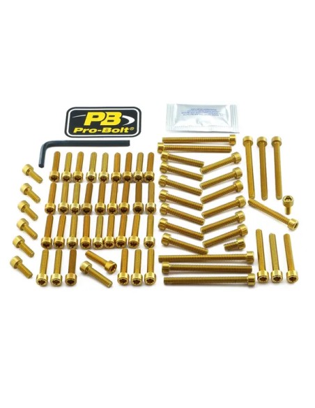 PRO BOLT Montagematerial & Zubehör für YAMAHA MT-01 1700 2005-2009