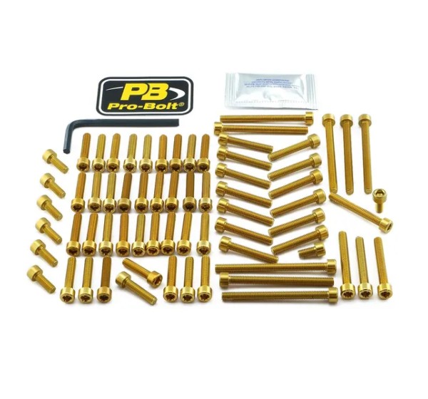 PRO BOLT Montagematerial & Zubehör für YAMAHA MT-01 1700 2005-2009