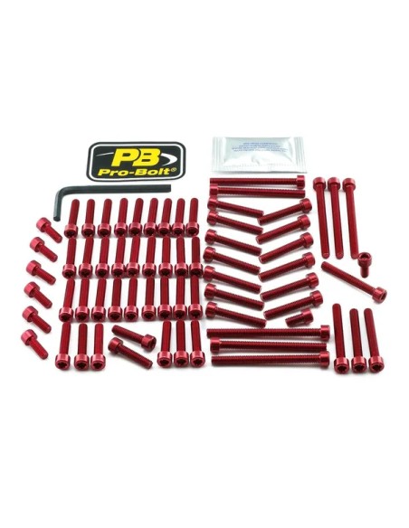PRO BOLT Montagematerial & Zubehör für YAMAHA MT-01 1700 2005-2009