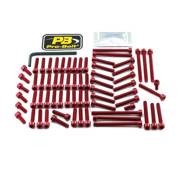 PRO BOLT Montagematerial & Zubehör für YAMAHA MT-01 1700 2005-2009