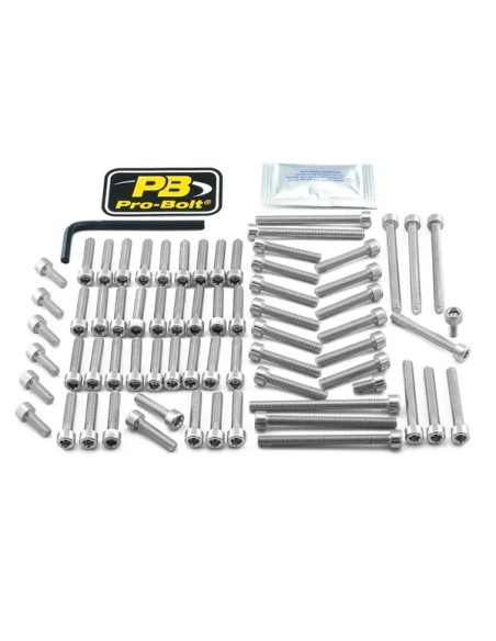 PRO BOLT Montagematerial & Zubehör für YAMAHA MT-01 1700 2005-2009