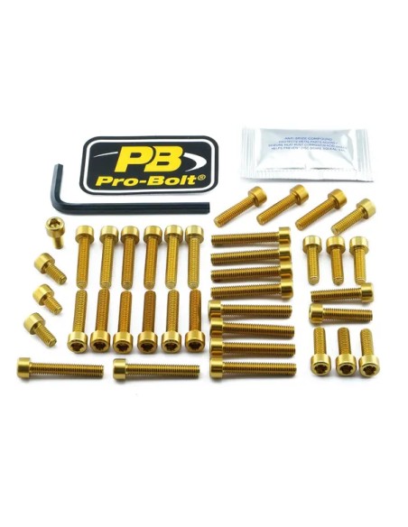 PRO BOLT Montagematerial & Zubehör für YAMAHA MT-10 ABS 2016-2021