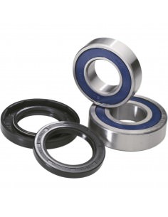 MOOSE RACING RADLAGER UND DICHTUNGSSATZ 2