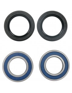 MOOSE RACING RADLAGER UND DICHTUNGSSATZ 2