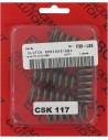 CSK Kupplungsfedernsatz