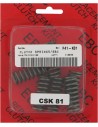 CSK Kupplungsfedernsatz