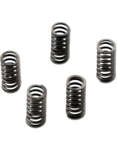 CSK Series Heavy Duty Kupplungsfeder-Kit