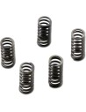 CSK Series Heavy Duty Kupplungsfeder-Kit