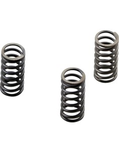 CSK Series Heavy Duty Kupplungsfeder-Kit