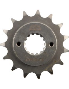 Vorderes Kettenrad