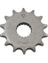 Vorderes Ritzel