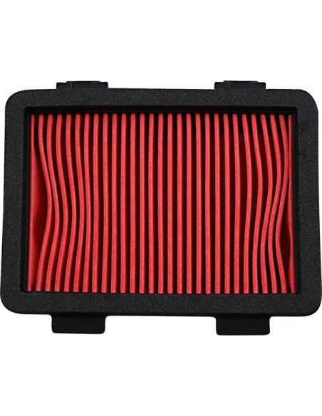 HIFLOFILTRO Luftfilter & Reiniger für KTM DUKE 125 ABS 2017-2024