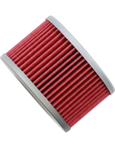 HIFLOFILTRO Schmiersystem für HONDA TRX 680 FA 2006-2023