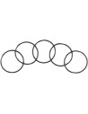 Anlasser-O-Ring