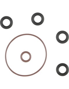 O-Ring für Induktionsmodul