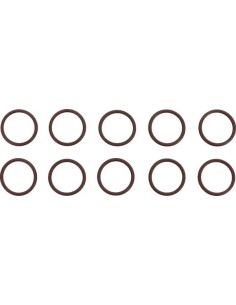 O-Ring Ablassschraube