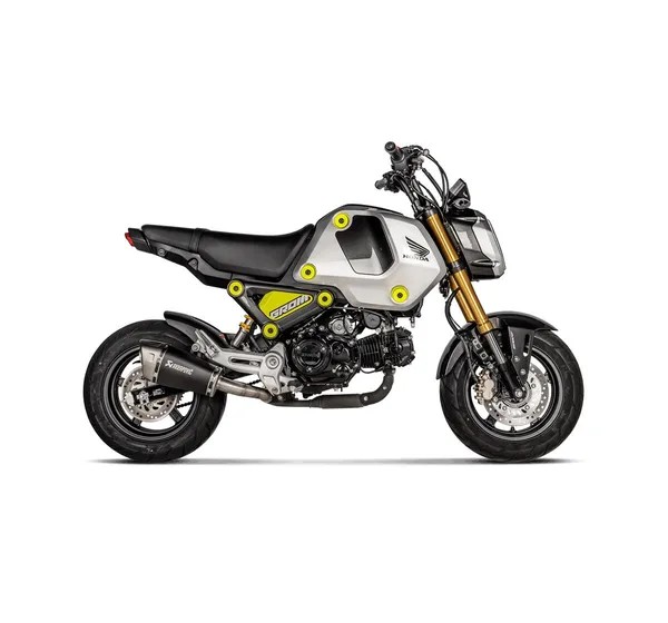 AKRAPOVIC Endschalldämpfer - Einbaubeispiel