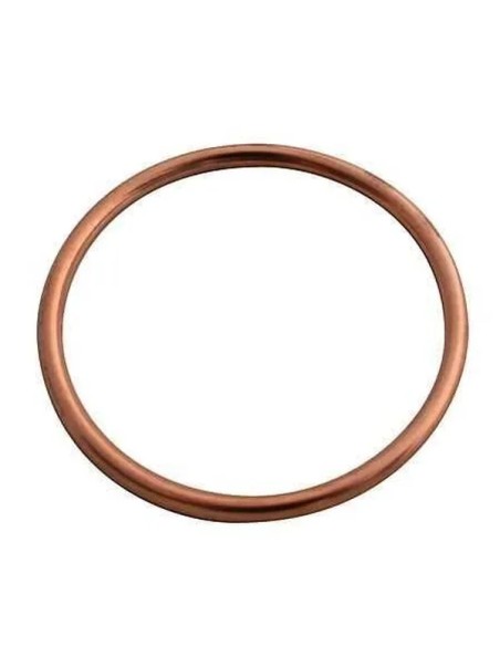 AKRAPOVIC Dichtungen - GRAPHITE GASKET