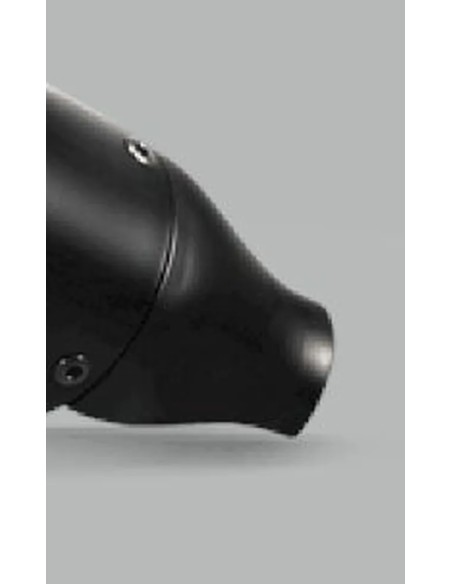 AKRAPOVIC Hitzeschilde für TRIUMPH THRUXTON 1200 ABS 2016-2024