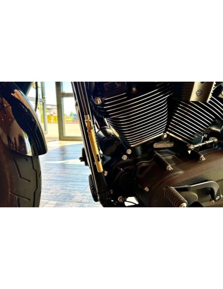 MUELLER MOTORCYCLE AG Bowdenzüge - Einbaubeispiel