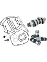 Race Series® Kettenantrieb-Nockenwellen-Kit