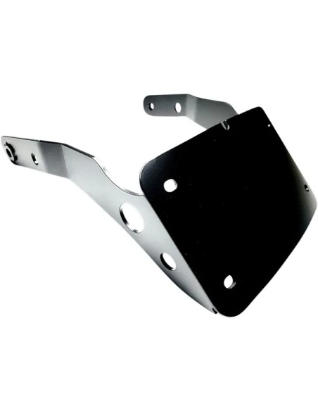 CYCLE VISIONS Kennzeichen für Harley Davidson XL 883 N 2009-2022