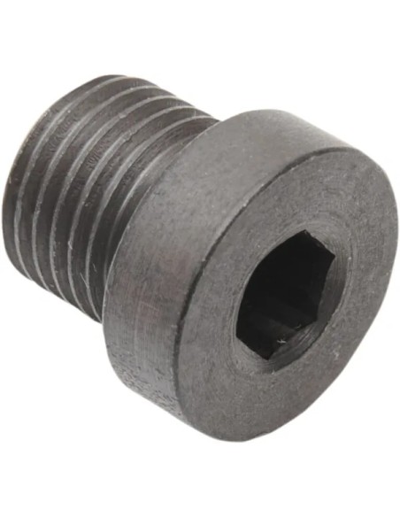 DAYTONA TWIN TEC LLC Montagematerial & Zubehör - PLUG 12 X 1.25MM STEEL