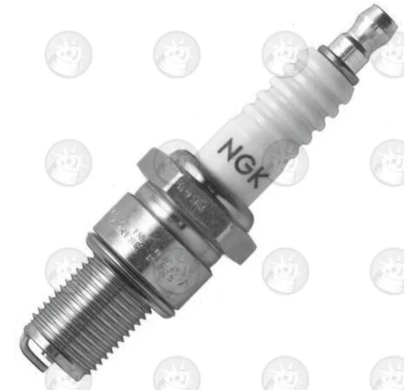 NGK SPARK PLUGS Zündkerzen für VESPA PX LUSSO 80 E 1984-1995