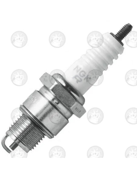 NGK SPARK PLUGS Zündkerzen für HONDA SA 50 1988-2001