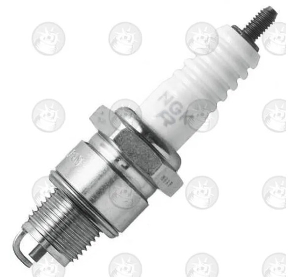 NGK SPARK PLUGS Zündkerzen für HONDA SA 50 1988-2001